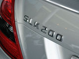 奔驰SLK级 2010款 奔驰SLK SLK 200K_高清图2