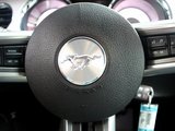 Mustang 2010款 野马 3.7 V6 特装版_高清图25