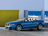 奥迪S5 2010款  3.0T S5 Cabriolet_高清图15