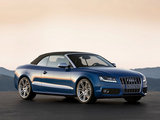 奥迪S5 2010款  3.0T S5 Cabriolet_高清图10