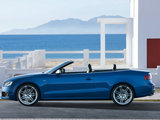 奥迪S5 2010款  3.0T S5 Cabriolet_高清图5