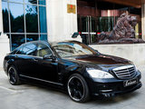 劳伦士S级 2010款  S500L 4MATIC_高清图11