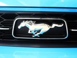 Mustang 2010款 野马 3.7 V6 特装版_高清图5