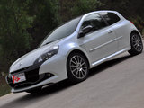 Clio 2009款 雷诺 基本型_高清图30