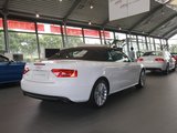 奥迪A5 2010款  2.0TSI Cabriolet_高清图11