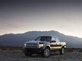 2009款 福特F-150 Platinum