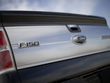 福特F-150 2009款  Platinum_高清图9