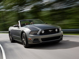 Mustang 2013款 野马 GT 敞篷版