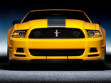 Mustang 2013款 野马 Boss 302_高清图6