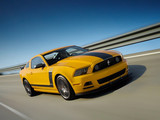 Mustang 2013款 野马 Boss 302_高清图4