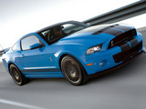 Mustang 2013款 野马 Shelby GT500_高清图15