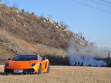 Gallardo 2011款  LP570-4 Superleggera_高清图3