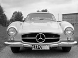 奔驰SL级 1954款  300 SL Gullwing_高清图19