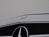 奔驰C级(进口) 2012款 奔驰AMG级 CLS 63 AMG_高清图10