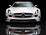 奔驰SLS级AMG 2011款  SLS AMG GT3_高清图7