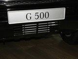 奔驰G级 2010款  G500_高清图15
