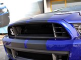 Mustang 2013款 野马 Shelby GT500_高清图26