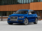 奥迪SQ5 2014款  SQ5 3.0TFSI quattro_高清图16