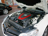 奔驰SL级 2011款  SL 350 Grand Edition_高清图13