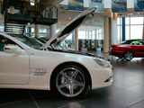 奔驰SL级 2011款  SL 350 Grand Edition_高清图6