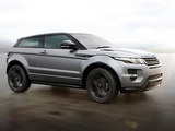 揽胜极光(进口) 2012款 极光Evoque 维多利亚限量版_高清图5