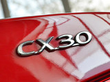 长安CX30 2012款  三厢 1.6 MT豪华型_高清图29