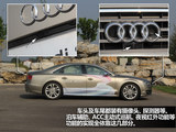 奥迪S8 2013款  S8 4.0TFSI quattro_高清图34