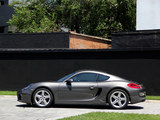 Cayman 2013款   2.7L_高清图8