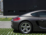 Cayman 2013款   2.7L_高清图11