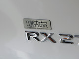雷克萨斯RX 2013款  270 Mark Levinson限量版_高清图28