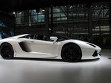 Aventador 2013款  LP 700-4 Roadster_高清图4