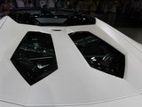 Aventador 2013款  LP 700-4 Roadster_高清图19