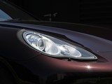 Panamera 2013款   Platinum Edition_高清图11