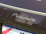 Panamera 2013款   Platinum Edition_高清图28