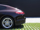 Panamera 2013款   Platinum Edition_高清图18