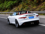 捷豹F-TYPE 2013款  3.0T S_高清图8