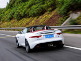 捷豹F-TYPE 2013款  3.0T S_高清图7