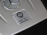 奔驰S级AMG 2013款  S65L AMG Grand Edition_高清图15