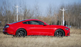Mustang 2015款  2.3T 50周年纪念版_高清图2