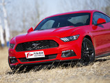 Mustang 2015款  2.3T 50周年纪念版_高清图34