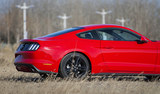 Mustang 2015款  2.3T 50周年纪念版_高清图32