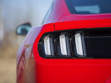 Mustang 2015款  2.3T 50周年纪念版_高清图31