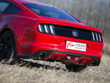Mustang 2015款  2.3T 50周年纪念版_高清图30