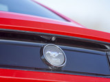 Mustang 2015款  2.3T 50周年纪念版_高清图29