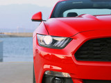 Mustang 2015款  2.3T 50周年纪念版_高清图6
