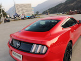 Mustang 2015款  2.3T 50周年纪念版_高清图14