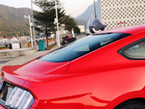 Mustang 2015款  2.3T 50周年纪念版_高清图13