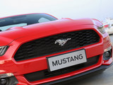 Mustang 2015款  2.3T 50周年纪念版_高清图11