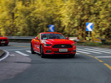 Mustang 2015款  2.3T 50周年纪念版_高清图12