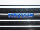 哈弗H6 Coupe 2015款  2.0T 手动两驱精英型_高清图22